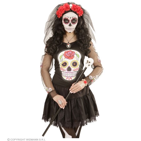 6 punase roosiga peavõru pealuu ja looriga | Maskeraad