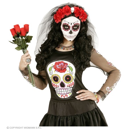 6 punase roosiga peavõru pealuu ja looriga | Maskeraad