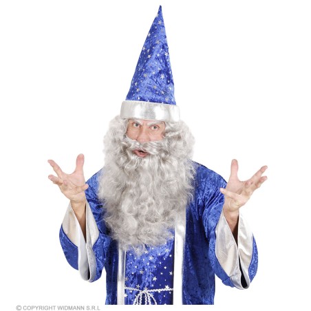 "GREY MULTICHARACTER BEARD" in box