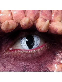 Draakoni läätsed 1nädal