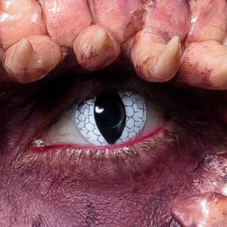 Draakoni läätsed 1nädal | Maskeraad