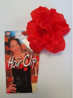 Punane roos klambril