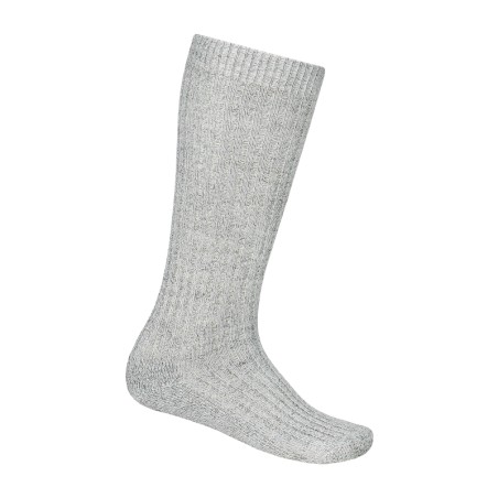 Hallid paksud Baieri põlvikud 43-46