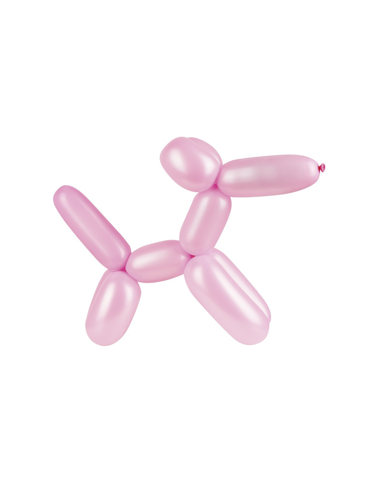 Vigurõhupallide komplekt 6tk/6värvi