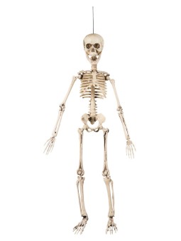 Dekoratsioon, painutatav luukere 50cm