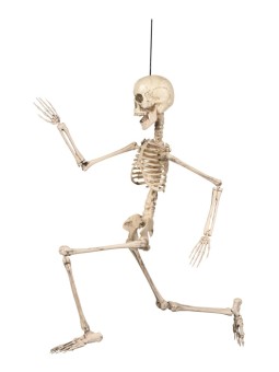 Dekoratsioon, painutatav luukere 50cm