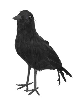 Dekoratsioon vares 23 X 10cm