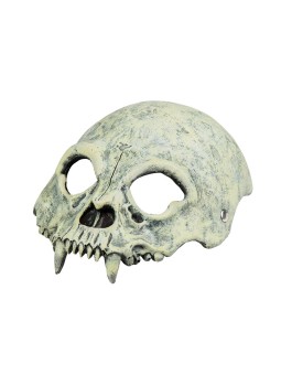 Vahtpalst pool pealuu mask kihvadega