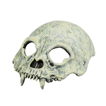 Vahtpalst pool pealuu mask kihvadega