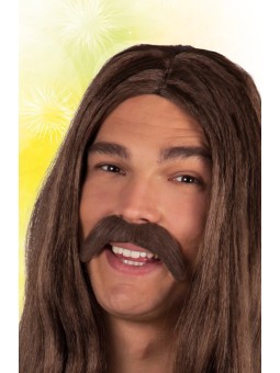 Hipi pruunid vuntsid