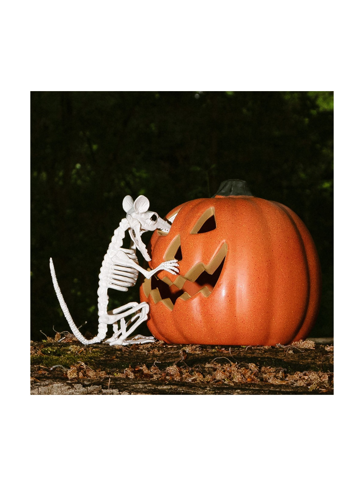 Kõrvitsa dekoratisioon tulega