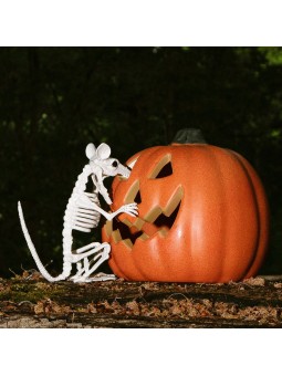 Kõrvitsa dekoratisioon tulega