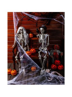 Suur kummist ämblikuvõrk ämblikuga