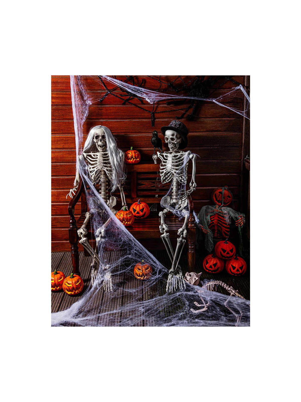 Suur kummist ämblikuvõrk ämblikuga