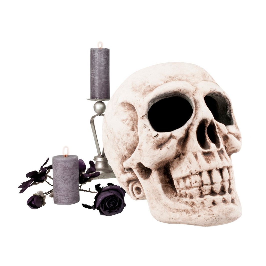 Mega suur pealuu kõvast vahust (35x35x47)