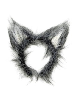 Hundi kõrvad peavõrul